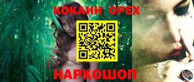 гашик Можга