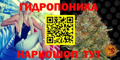 гашик Можга