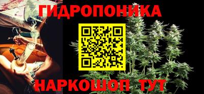 гашик Можга