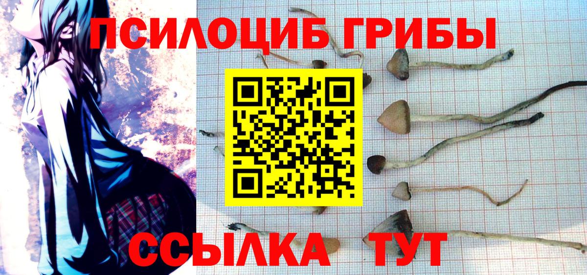 Псилоцибиновые грибы ЛСД  Вход с VPN  закладка  Чита 