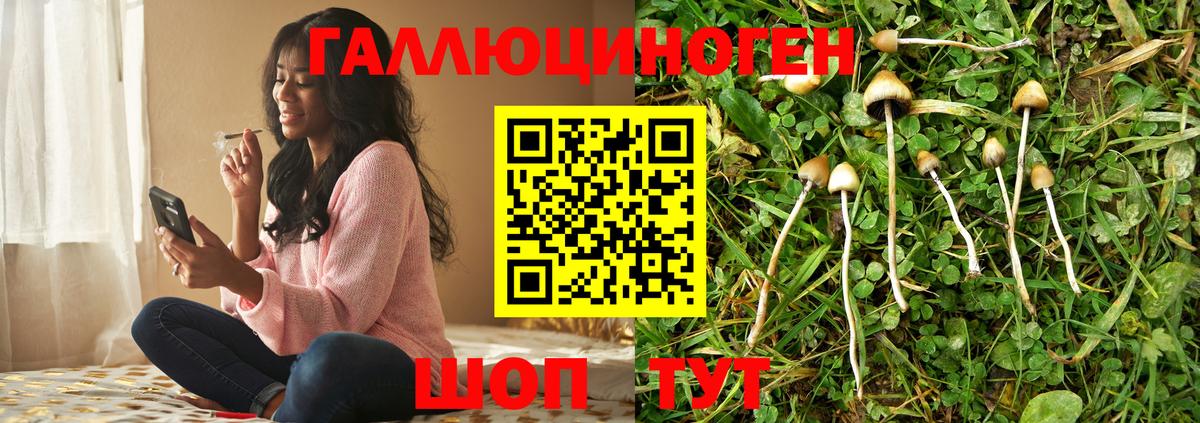 Галлюциногенные грибы Magic Shrooms Чита
